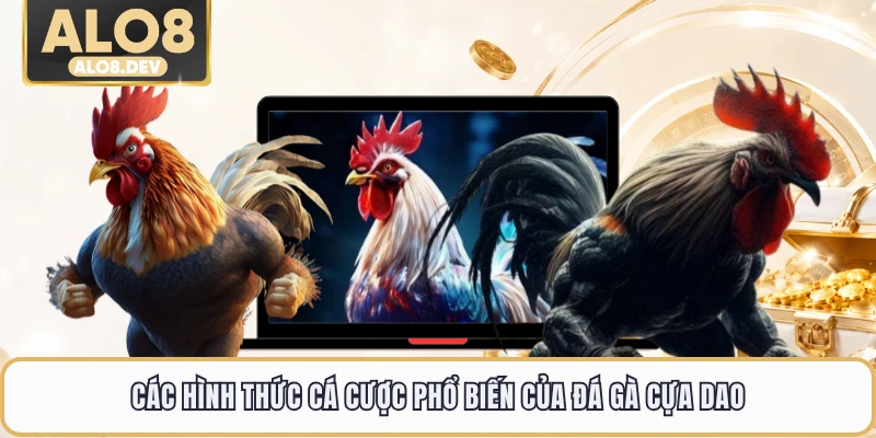 Các hình thức cá cược phổ biến của đá gà cựa dao
