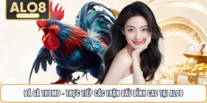 Đá Gà Thomo - Trực Tiếp Các Trận Đấu Đỉnh Cao Tại ALO8