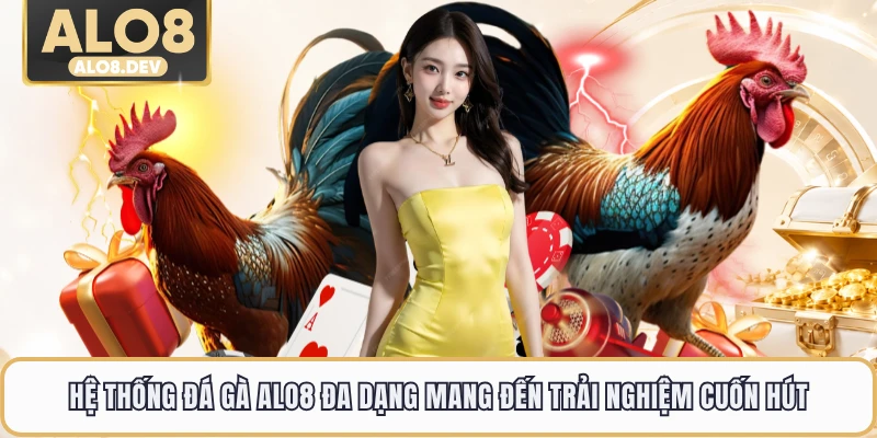 Hệ thống đá gà ALO8 đa dạng mang đến trải nghiệm cuốn hút